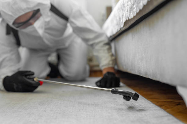 Professional Pest Control technician working in Lyndhurst, OH