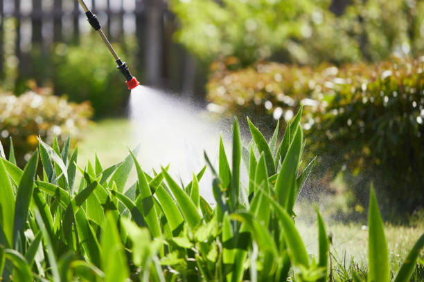 24/7 Emergency Mosquito Control experts in Lyndhurst, OH