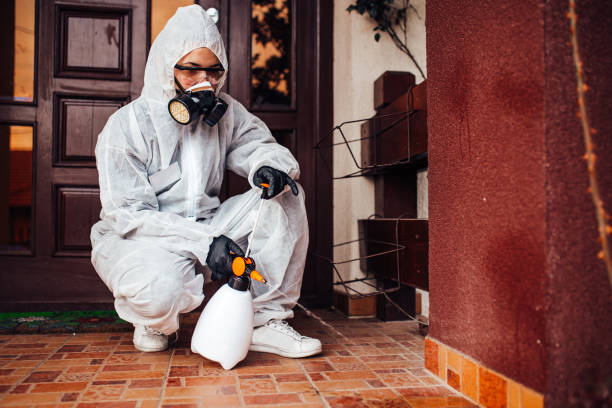 Reliable Mosquito Control contractor in Lyndhurst, OH by Nex Pest Control
