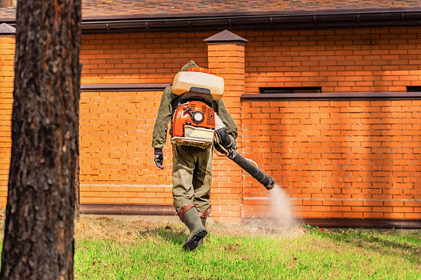 Trusted Ant Control service in Lyndhurst, OH - Nex Pest Control